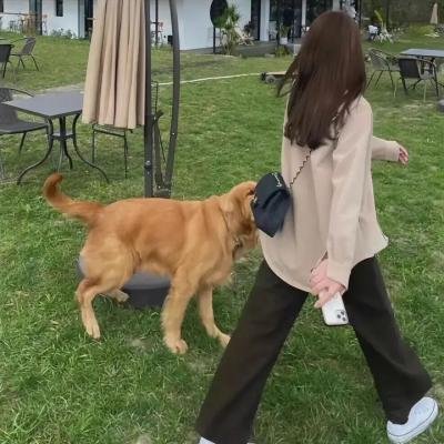 一秒变总统第二季